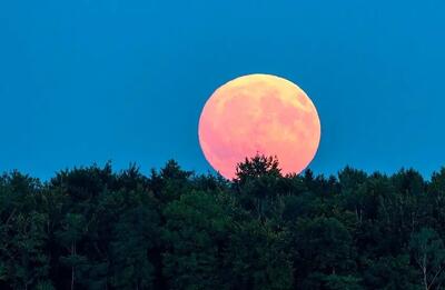  فرمان اجرایی ترامپ مبنی بر استقرار راکتور هسته‌ای در ماه