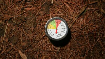 وضعیت هوای فردا مشهد شنبه ۲۹ آذر ۱۴۰۴ | پیش بینی آب و هوای مشهد در ۲۴ ساعت آینده + هواشناسی مشهد