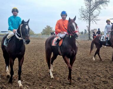 پایان ماراتُن هفته ششم اسبدوانی پاییزه گنبدکاووس+ فیلم