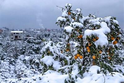 بارش کم‌سابقه در غرب و جنوب ایران