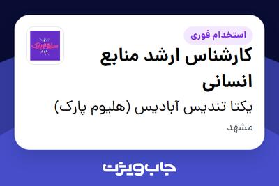  استخدام کارشناس ارشد منابع انسانی در یکتا تندیس آبادیس (هلیوم پارک)