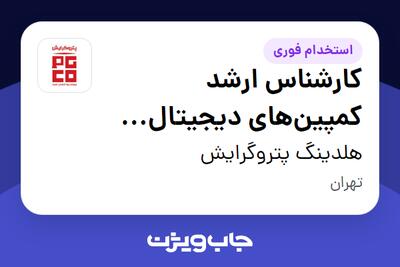  استخدام کارشناس ارشد کمپین‌های دیجیتال (Performance Marketing) در هلدینگ پتروگرایش