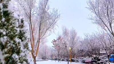 ببینید | ذوق‌زدگی بانوی ابیانه‌ای از بارش برف در استان اصفهان