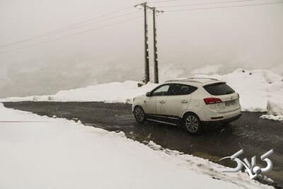 هشدار برف و باران در نیمه جنوبی کشور | لغزندگی جاده در این استان ها - مجله اینترنتی کولاک