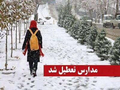 برودت هوا مدارس ابتدایی فیروزکوه را مجازی کرد