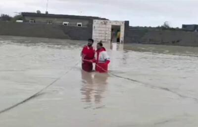 فیلم/ نجات ۵ خانواده محاصره شده در سیل هرمزگان