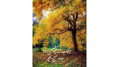  تفسیر فال حافظ 28 آذر