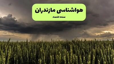 پیش بینی وضعیت آب و هوا مازندران فردا شنبه ۲۹ آذر ۱۴۰۴ + هواشناسی ساری فردا + وضعیت هوای فردا ساری