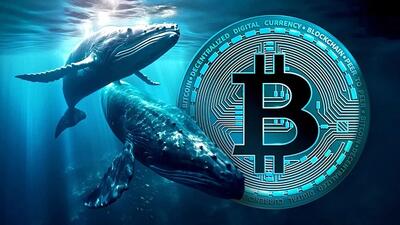 انباشت بی‌سابقه نهنگ‌ها؛ آیا رالی جدید بیت کوین نزدیک است؟ - سرمایه و بورس