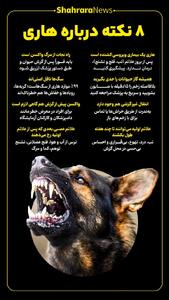  اینفوگرافی| ۸ نکته درباره هاری