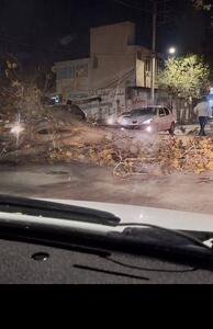 تندباد زمستانی در ایلام؛ کاهش دما تا صفر درجه در مناطق سردسیر - تسنیم