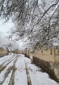 بارش 27 سانتیمتری برف در ده‌بالای تفت/ تداوم فعالیت سامانه بارشی در یزد - تسنیم