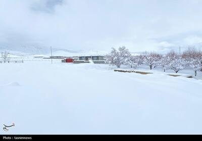 بارش بی‌سابقه برف در کهگیلویه و بویراحمد تصاویر - تسنیم