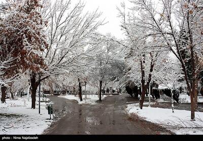  انسداد راه‌های دسترسی 6 روستا در لامرد/جان باختن دو جوان در لارستان - تسنیم