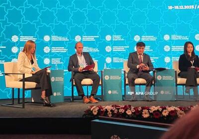 مقام آذربایجانی: انتشار اطلاعات نادرست درباره آذربایجان در رسانه‌های ترکیه نگران‌کننده است - تسنیم