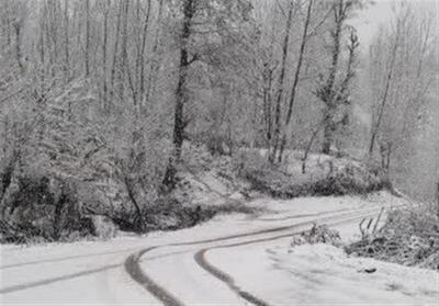 بارش نخستین برف و آزمون ناکام راهداری / مدیریت زمستانی زیر سؤال رفت - تسنیم