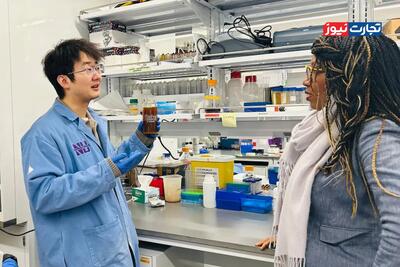 راز پنهان خاک‌های غنی از آهن / چگونه مواد معدنی کربن را برای قرن‌ها در زمین قفل می‌کنند؟