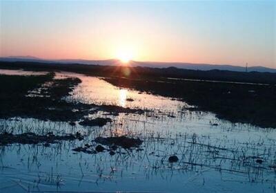 بحران زیست محیطی زباله در تالاب آلماگل