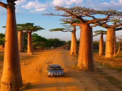  به دومین کشور بزرگ جزیره‌ای زمین خوش آمدید!