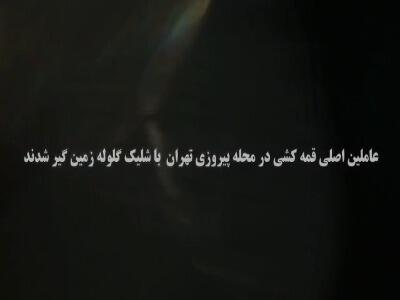 سرکرده اراذل محله پیروزی تهران زمینگیر شد