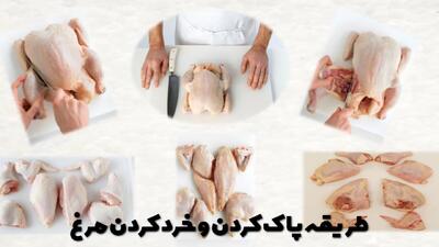  طریقه پاک کردن مرغ و روش خرد کردن مرغ به هشت و چهار تکه + تصویری