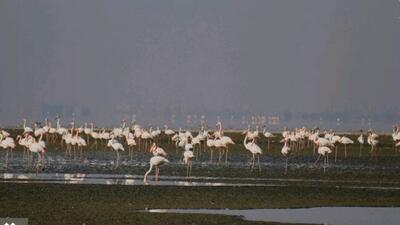  جان دوباره تالاب مهارلو