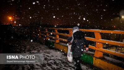  گرمخانه سبز مشهد