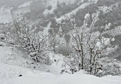 بارش برف در فریزهند نطنز رکورد زد/ ارتفاع برف به 70 سانتی‌متر رسید