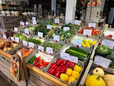 تمایل به پس‌انداز در آلمان به بالاترین سطح از بحران مالی جهانی رسید