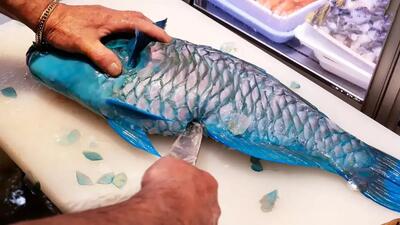  مهارت فروشندگان ژاپنی: دو غذای محلی از یک طوطی‌ماهی (فیلم)