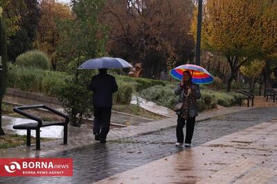  ۶۴ میلی متر باران سهم شیرازی‌ها شد