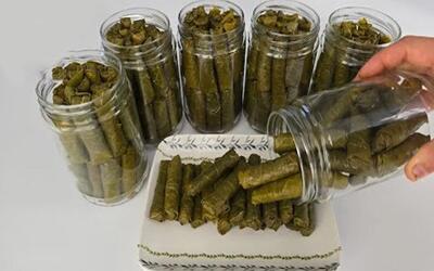  طرز تهیه دلمه بدون وا رفتن و شل شدن / دلمه ها را تا ماهها تازه نگهدارید