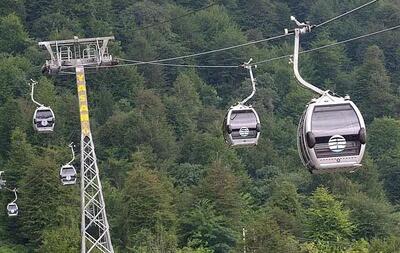 بررسی اعلام خبر نادرست نماینده گرگان با وجود مخالفت کمیته ارزیابی/ رئیس سازمان محیط‌زیست: به دلایل فنی و قانونی با تله کابین در جنگل ناهارخوران مخالفیم