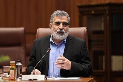 سخنگوی سازمان انرژی اتمی: در جریان جنگ ۱۲ روزه، ممکن بود اطلاع‌رسانی درباره برخی مسائل آرامش مردم را بیشتر بر هم زند / شایعه شده بود از اورانیوم تهی شده در حملات استفاده کردند، اما اصلا چنین چیزی نبود