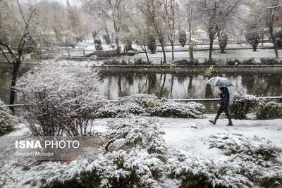 تصاویر: بارش شدید برف در مشهد