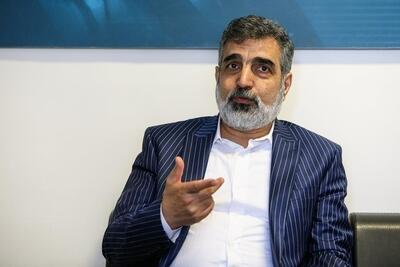 سخنگوی سازمان انرژی اتمی: صلاح نیست الان به دشمن اطلاعات دهیم که چقدر مواد هسته‌ای و سایت‌ها آسیب دیده است