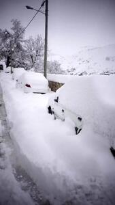 ببینید| بارش ۶۰ سانتی متری برف در کنگ خراسان