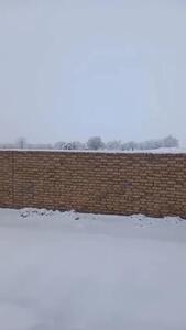 قلب کویر ایران هم سفیدپوش شد