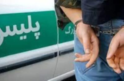 شرور مخل نظم و امنیت عمومی در پارس‌آباد دستگیر شد