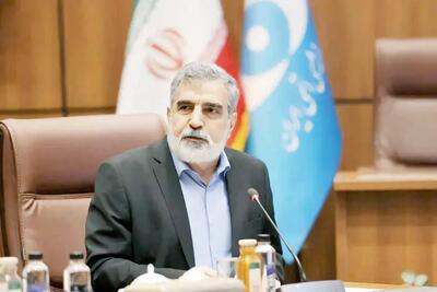 روایت سخنگوی سازمان انرژی اتمی از حمله به تاسیسات هسته‌ای ایران