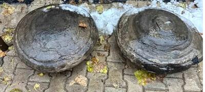 راز شش سنگ‌ با شکل‌های غیرعادی چیست؟ | عکس