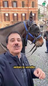  در ایتالیا گوشت اسب و الاغ هم می‌خورند! + فیلم