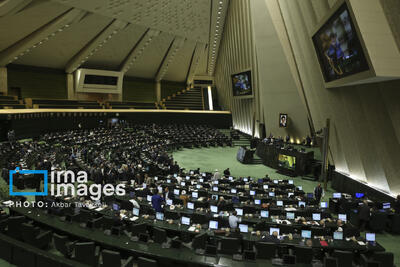 بررسی شرایط تامین کالاهای اساسی و سوال از وزیر اقتصاد در دستور کار مجلس