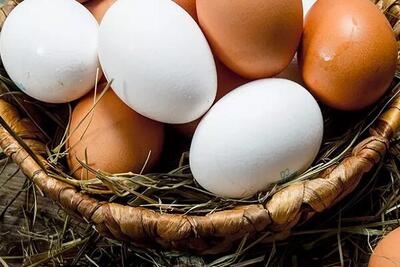 فواید تخم‌مرغ برای پوست و مو