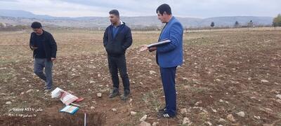 صیانت از اراضی مرغوب کشاورزی با رویکرد علمی در ایلام