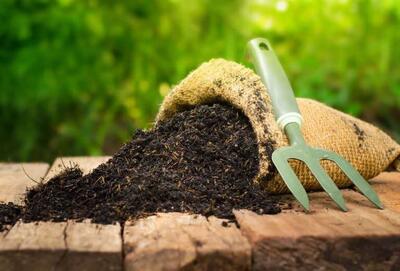  صدور بیش از ۱۸ هزار حواله کود کشاورزی در خراسان شمالی