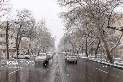  ثبت بیش از ۲۵۰ تصادف خسارتی طی ۲۴ ساعت گذشته در مشهد