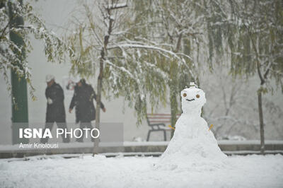  رشد ۱۰ برابری بارش‌ها در نطنز 