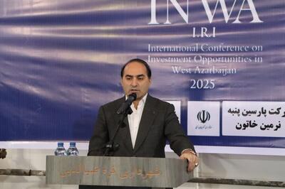  مدیرکل صمت آذربایجان غربی: چایپاره قطب سنگ‌های تزیینی است