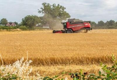  افزایش دی‌اکسید کربن در محیط زیست ارزش غذایی خوردنی‌ها را کاهش می‌دهد